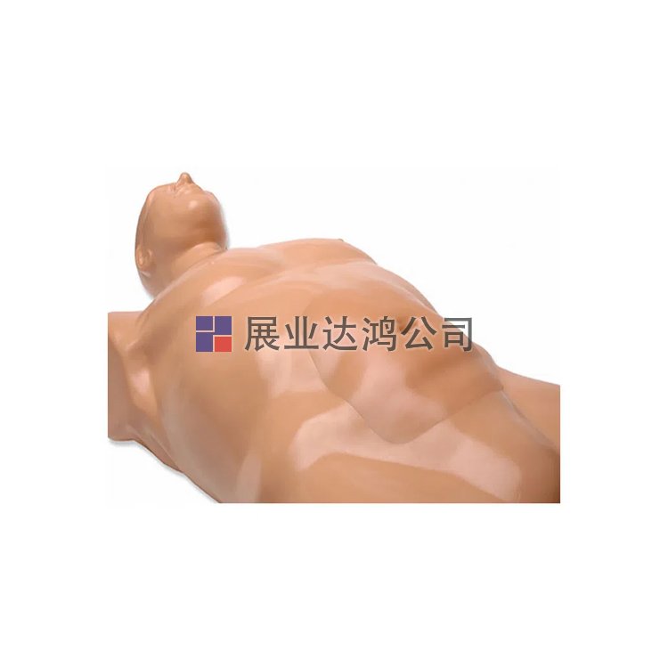<b>CAE BPAAA1500腹主動脈瘤超聲訓練模型-展業(yè)達鴻代理</b>