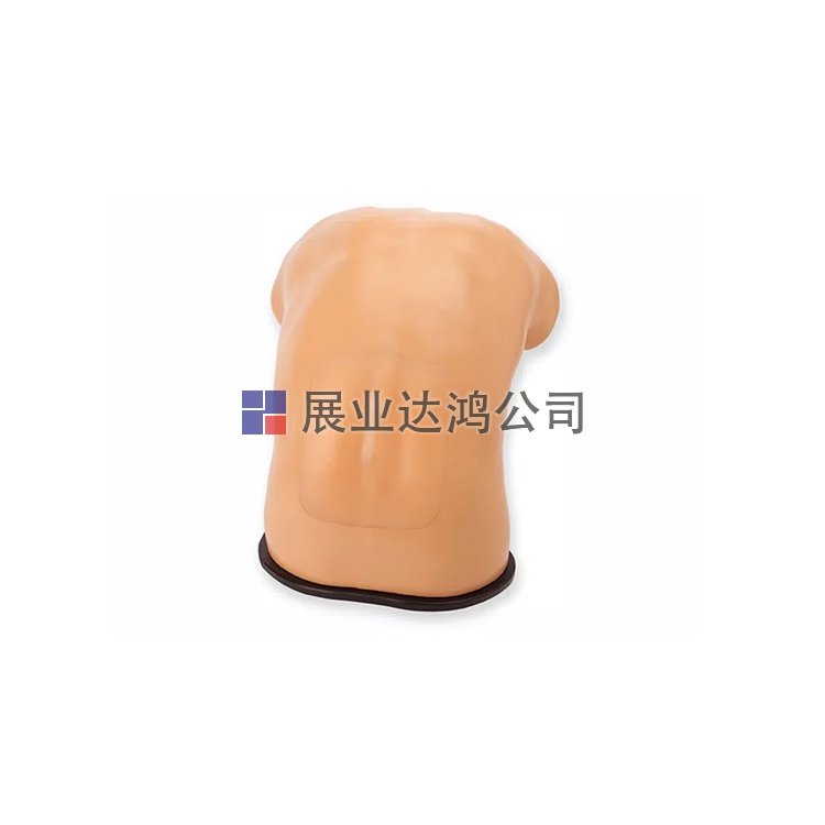 <b>CAE BPLP2101硬膜外超聲訓練模型-展業(yè)達鴻代理</b>